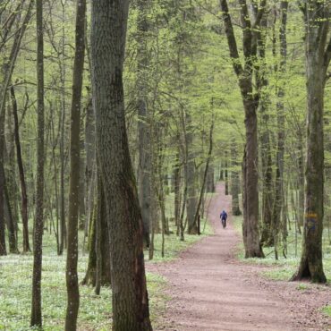В Литве предлагают расширить два региональных парка