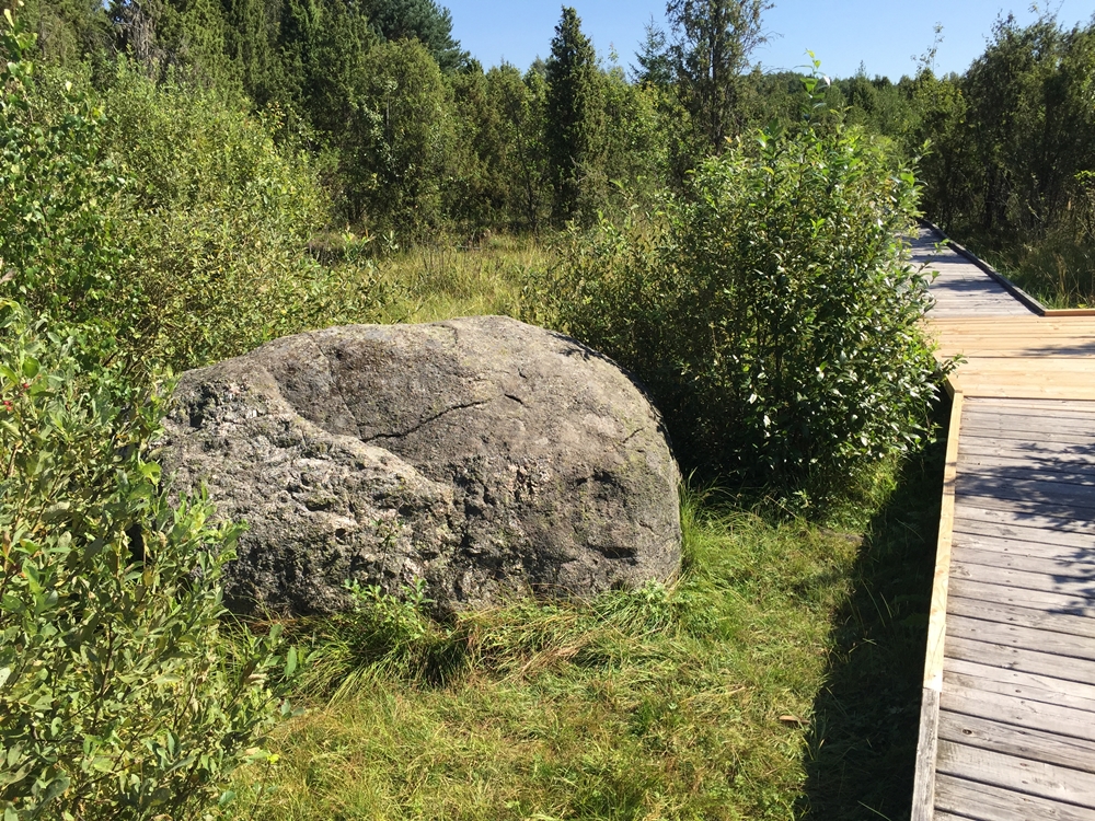 20210603 saukliu riedulyno takas check in lithuania 20210603 saukliu riedulyno takas check in lithuania