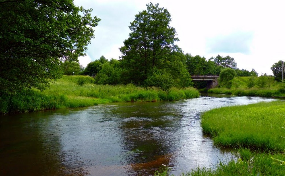 Летом планируется вернуть пять рек в их натуральные русла