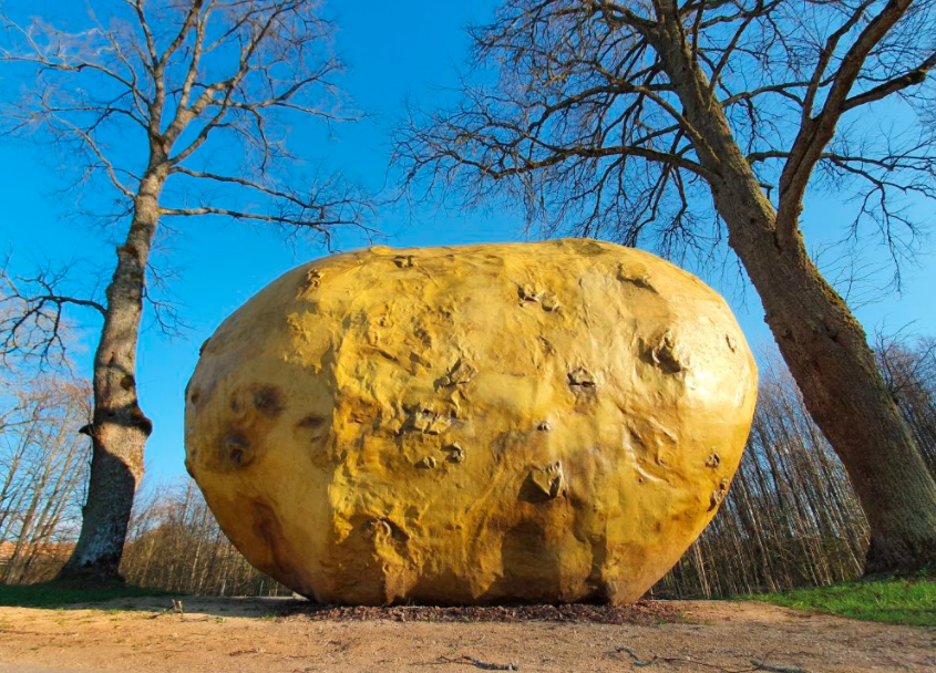 20211028 bulves skulptura ilzenberg