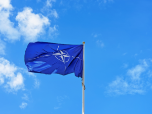 Саммит НАТО, гонки на лодках-драконах, лавандовое поле и другие новости