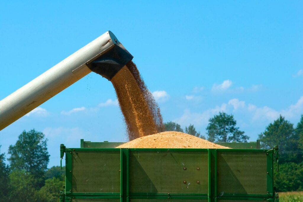 ООН: из Украины через Черное море уже вывезено более полумиллиона тонн зерна