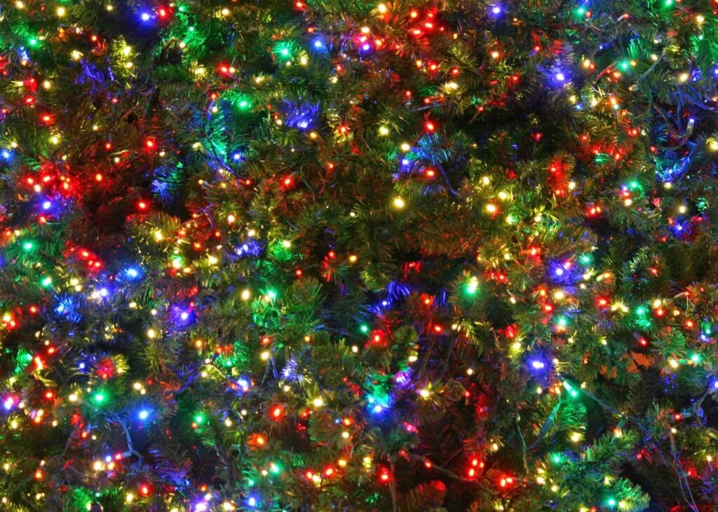 Какими в этом году будут рождественские елки в крупных городах страны?