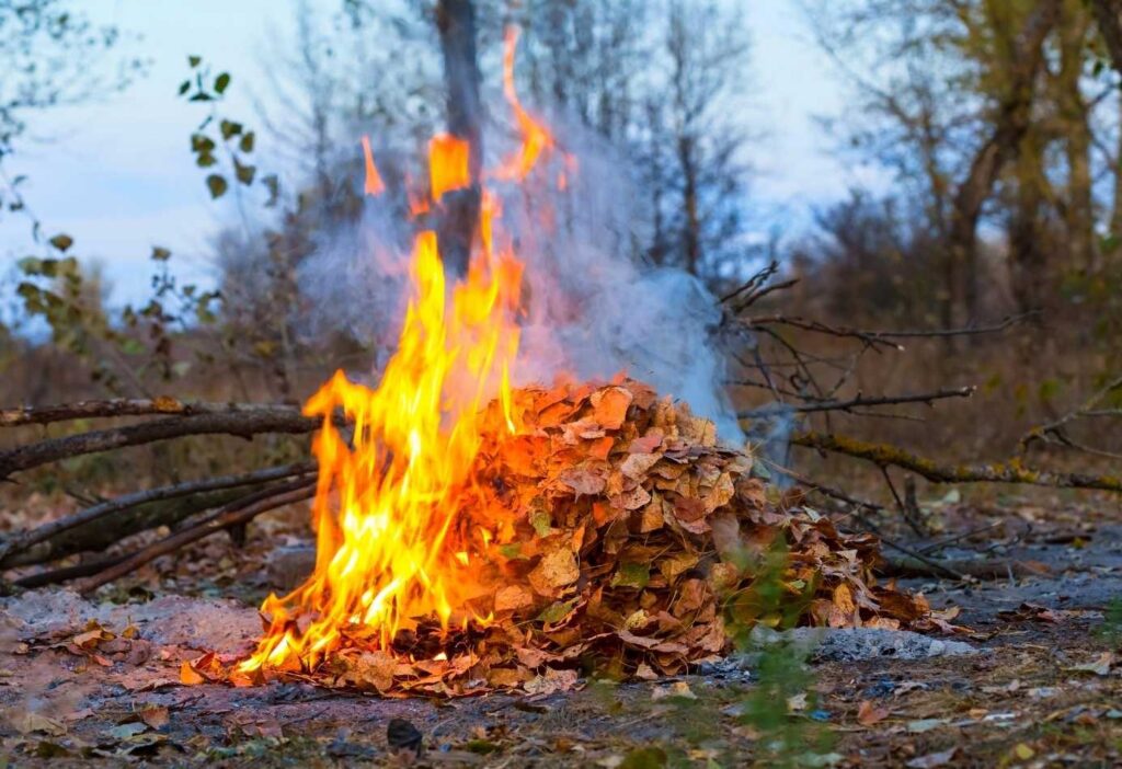 Проверьте, знаете ли вы правила, как сжигать листья, ветки и другие отходы