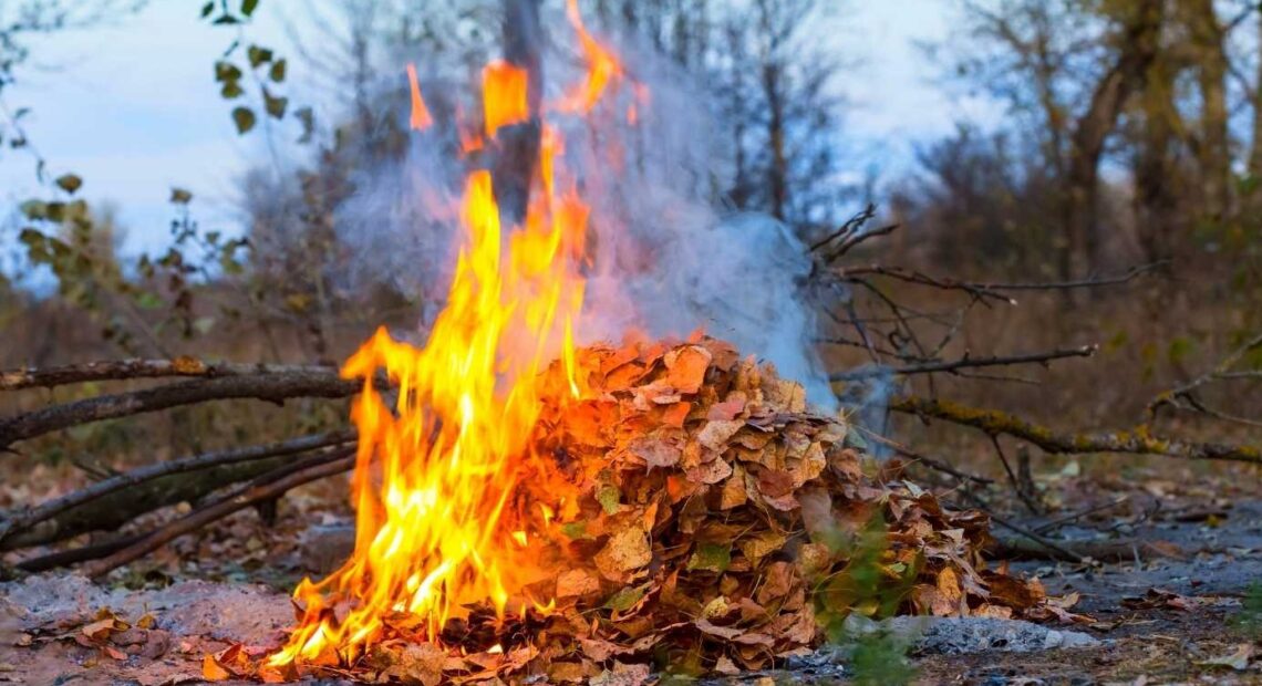Проверьте, знаете ли вы правила, как сжигать листья, ветки и другие отходы