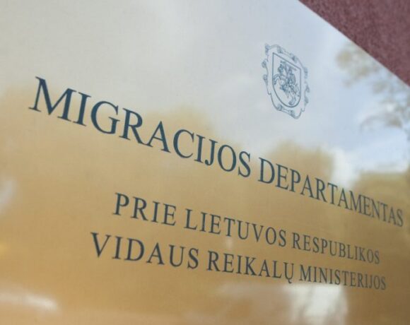 Департамент миграции: чем различаются национальная литовская виза и гуманитарная виза?
