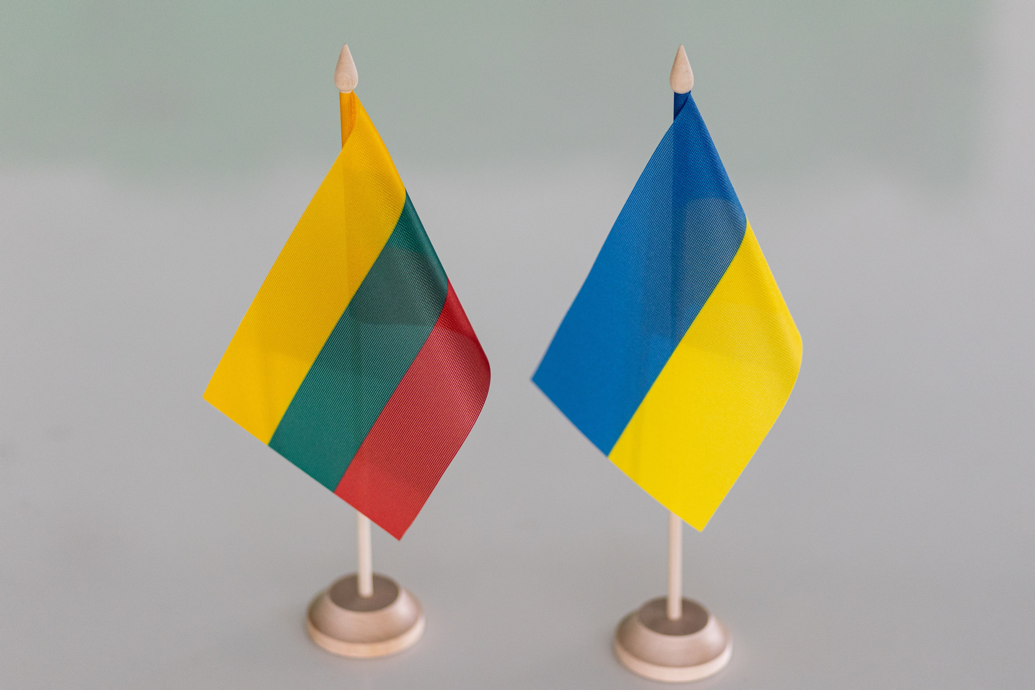Украинцам, проживающим в Литве, следует продлить разрешения на временное проживание