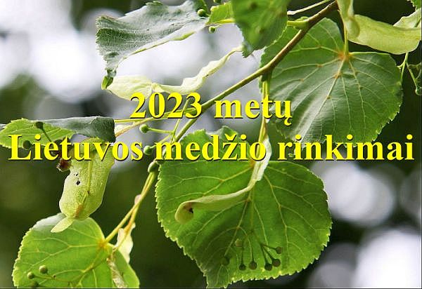 Курьерская доставка документа ВНЖ, реорганизация в Regitra, «Дерево года 2023», Margučių alėja и другие новости