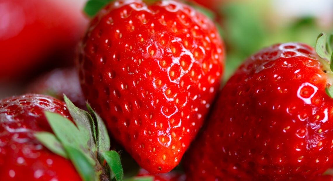 20230505 Braskes Strawberry