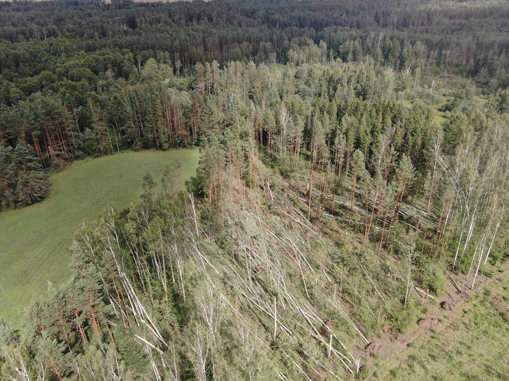 Завершение первого этапа дополнительного приема в вузы, повреждение 50 тыс. деревьев во время урагана и другие новости