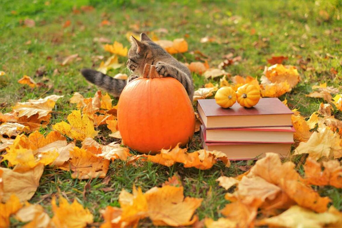 autumn books