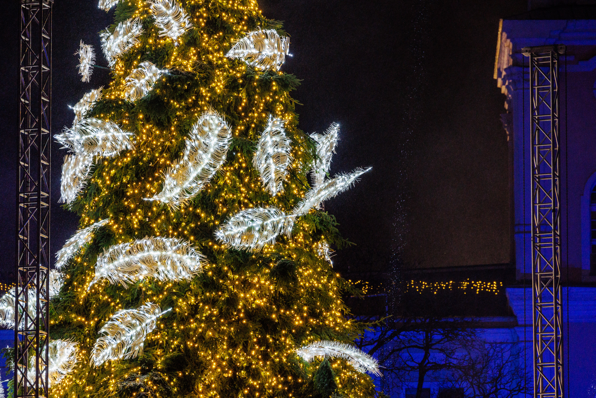 Когда зажгутся огни на рождественских елках в разных городах Литвы