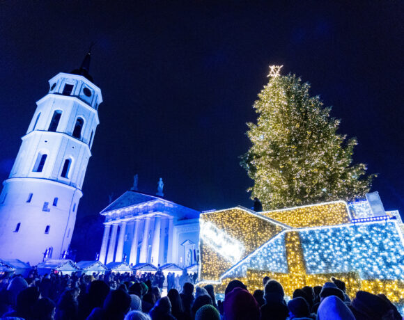 Зажглись огни на Рождественской елке Вильнюса. Фото елочек этого года и прошлых лет