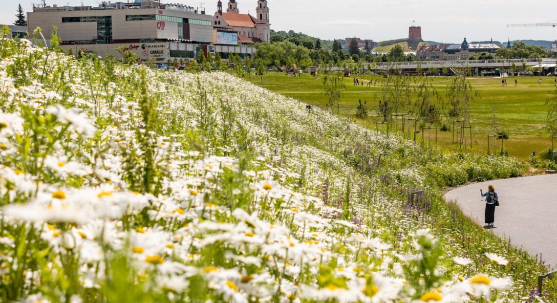 В Вильнюсе начинается сезон покоса травы