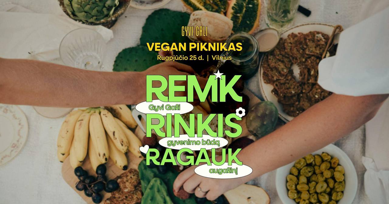 20240822 Piknik