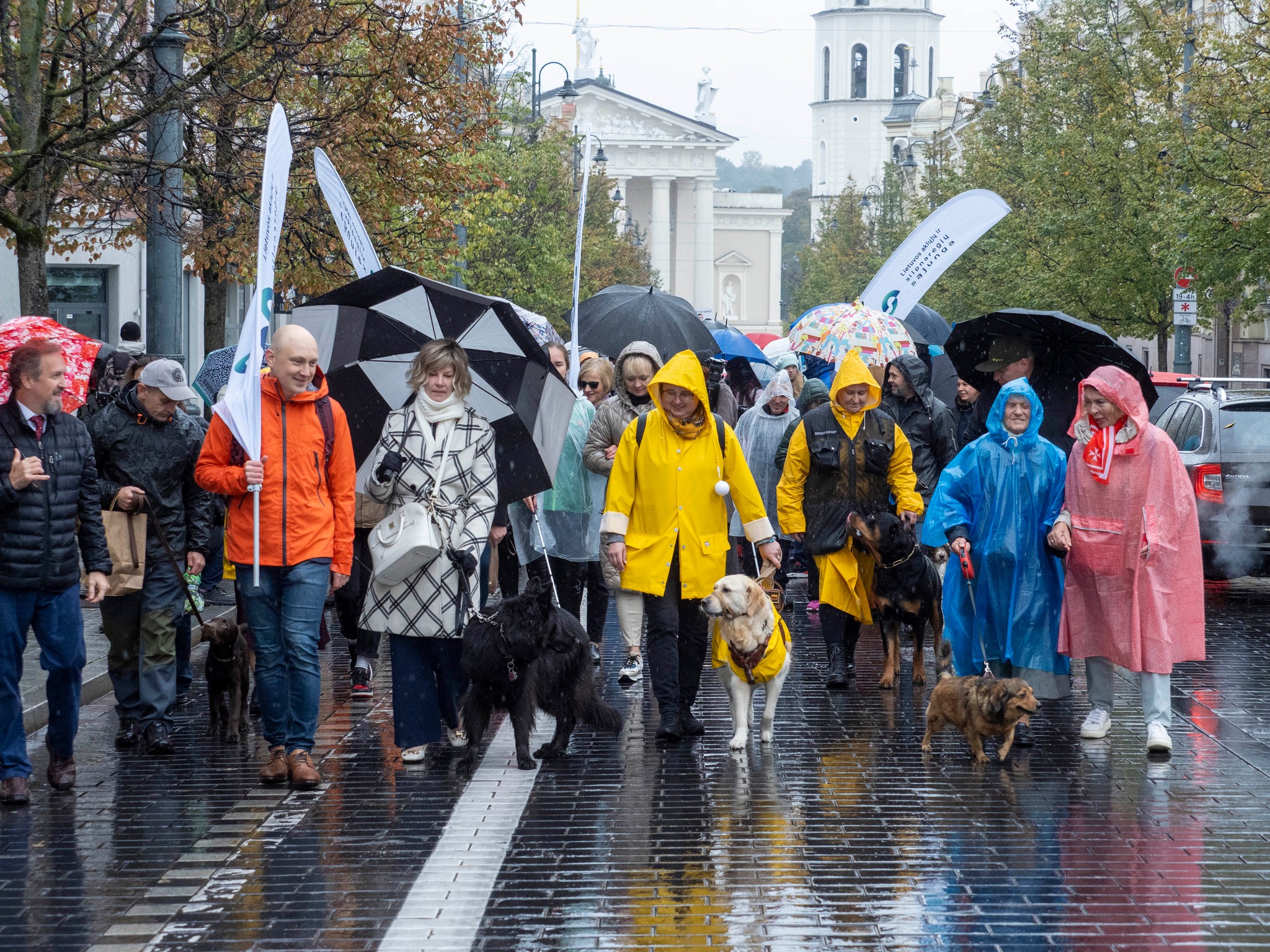 Lietuvos aklųjų ir silpnaregių sąjunga