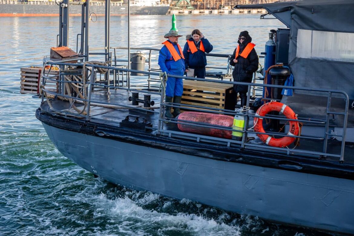 Морской музей Литвы выпустил спасенного тюлененка в море, в 20 километрах от берега