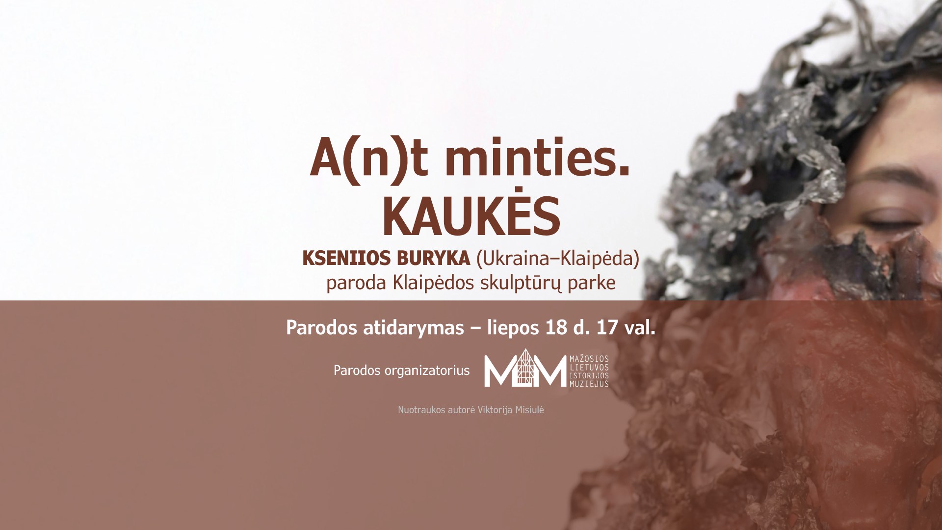 Kaukes