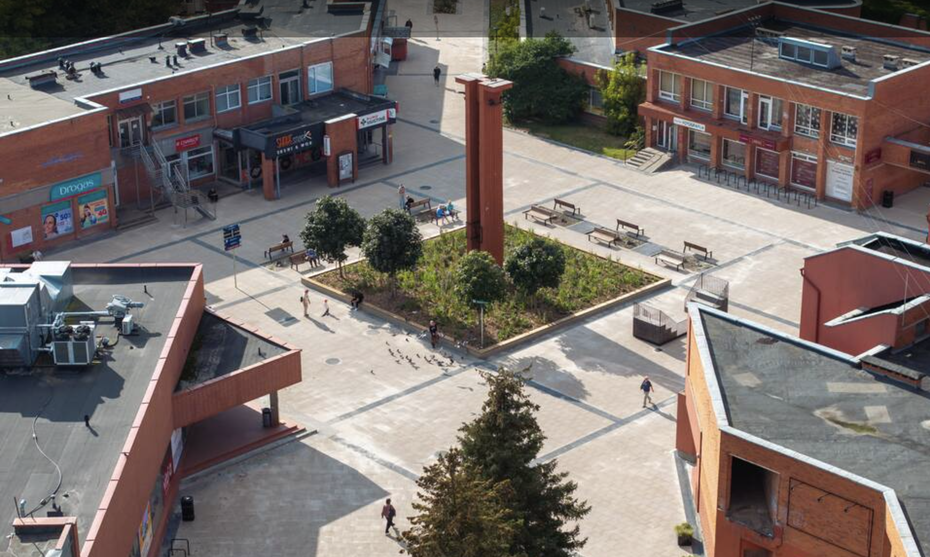 Šeškinė