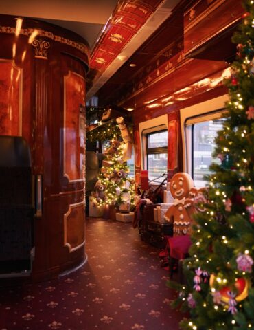 Поддержка одиноких родителей и адресная соцпомощь от правительства, централизованный приём в школы и детские сады, рождественские поезда LTG Link и другие новости