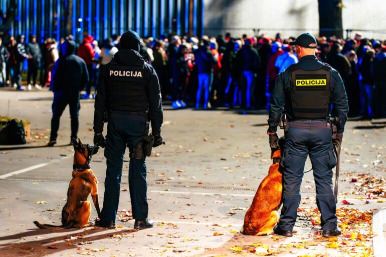 565110088 1241622381335226 9169640920688246618 n