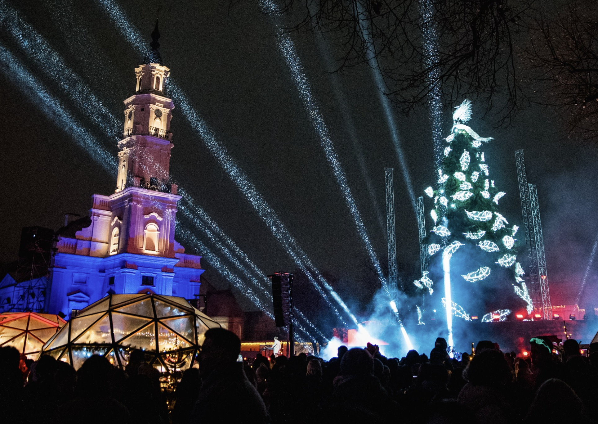 screenshot 2025 11 20 at 12.17.00