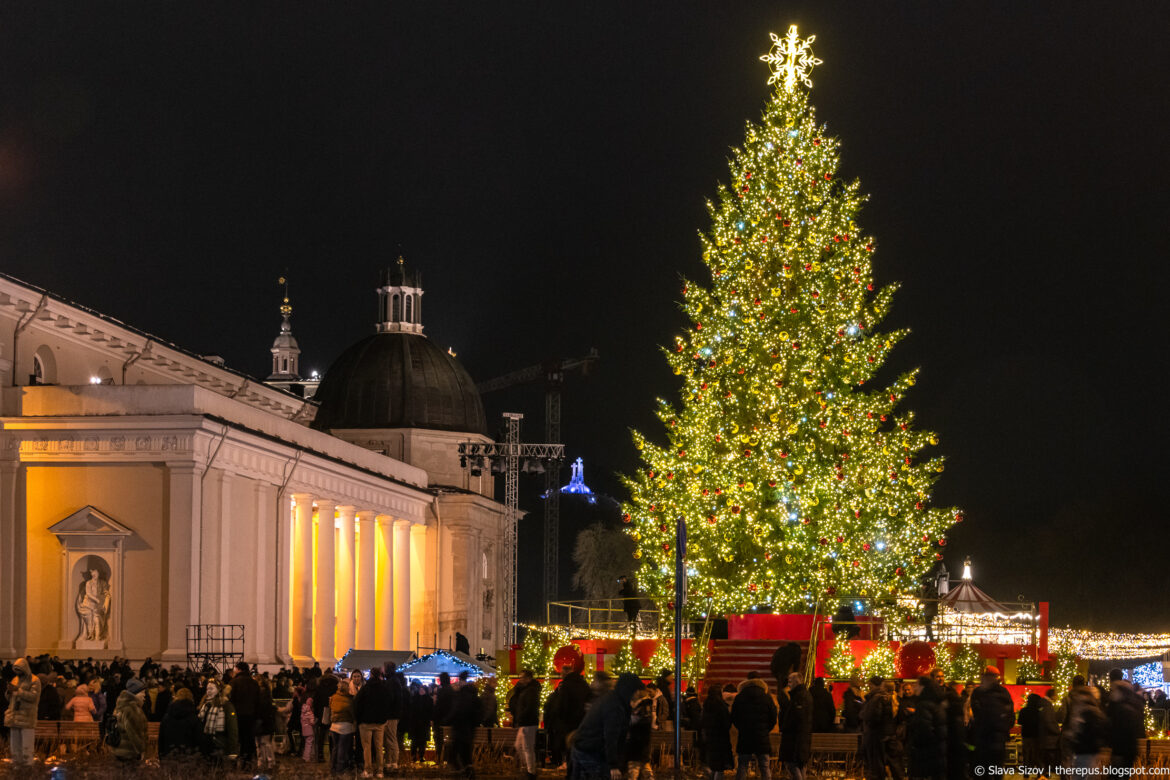 Рождество 2025: фотоотчёт про главную ёлку страны на Кафедральной площади столицы
