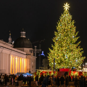 Рождество 2025: фотоотчёт про главную ёлку страны на Кафедральной площади столицы