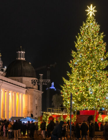 Рождество 2025: фотоотчёт про главную ёлку страны на Кафедральной площади столицы