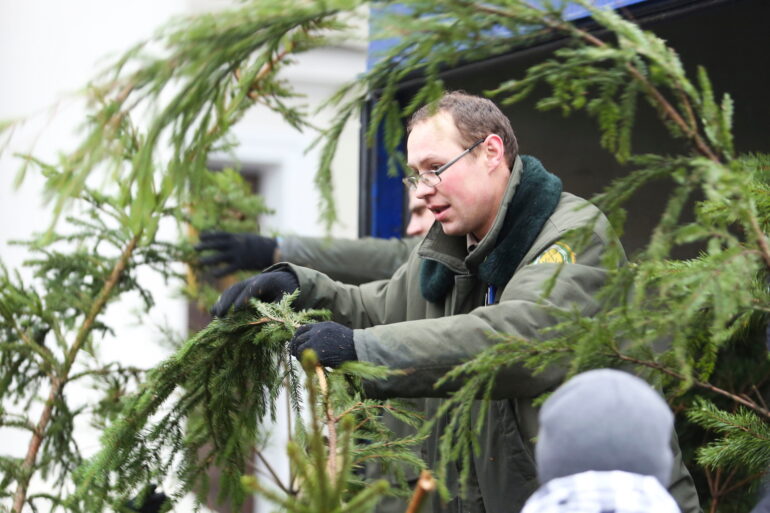 Планов по повторному закрытию границы с Беларусью пока нет; подготовлен законопроект, направленный на пожилых людей; бесплатные еловые и сосновые ветки и другие новости