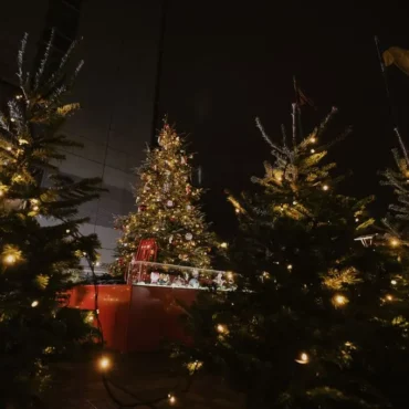 Cкорректированный проект госбюджета на 2026 год, дни отдыха для родителей, Международный рождественский лес и другие новости