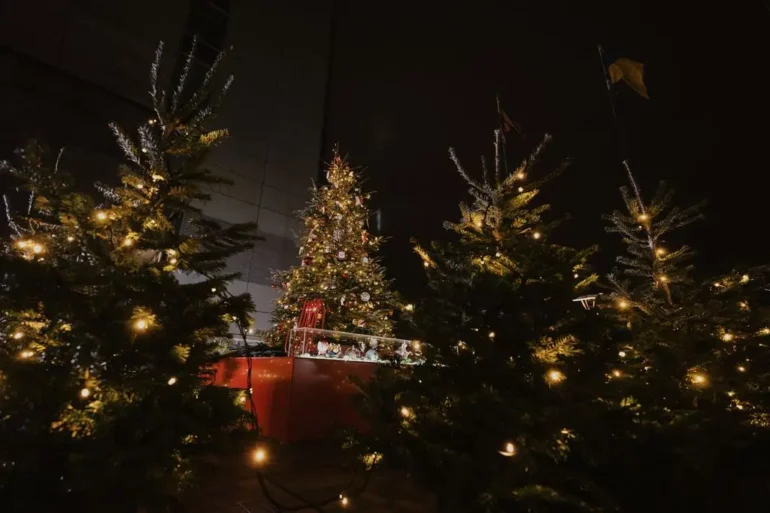 Cкорректированный проект госбюджета на 2026 год, дни отдыха для родителей, Международный рождественский лес и другие новости