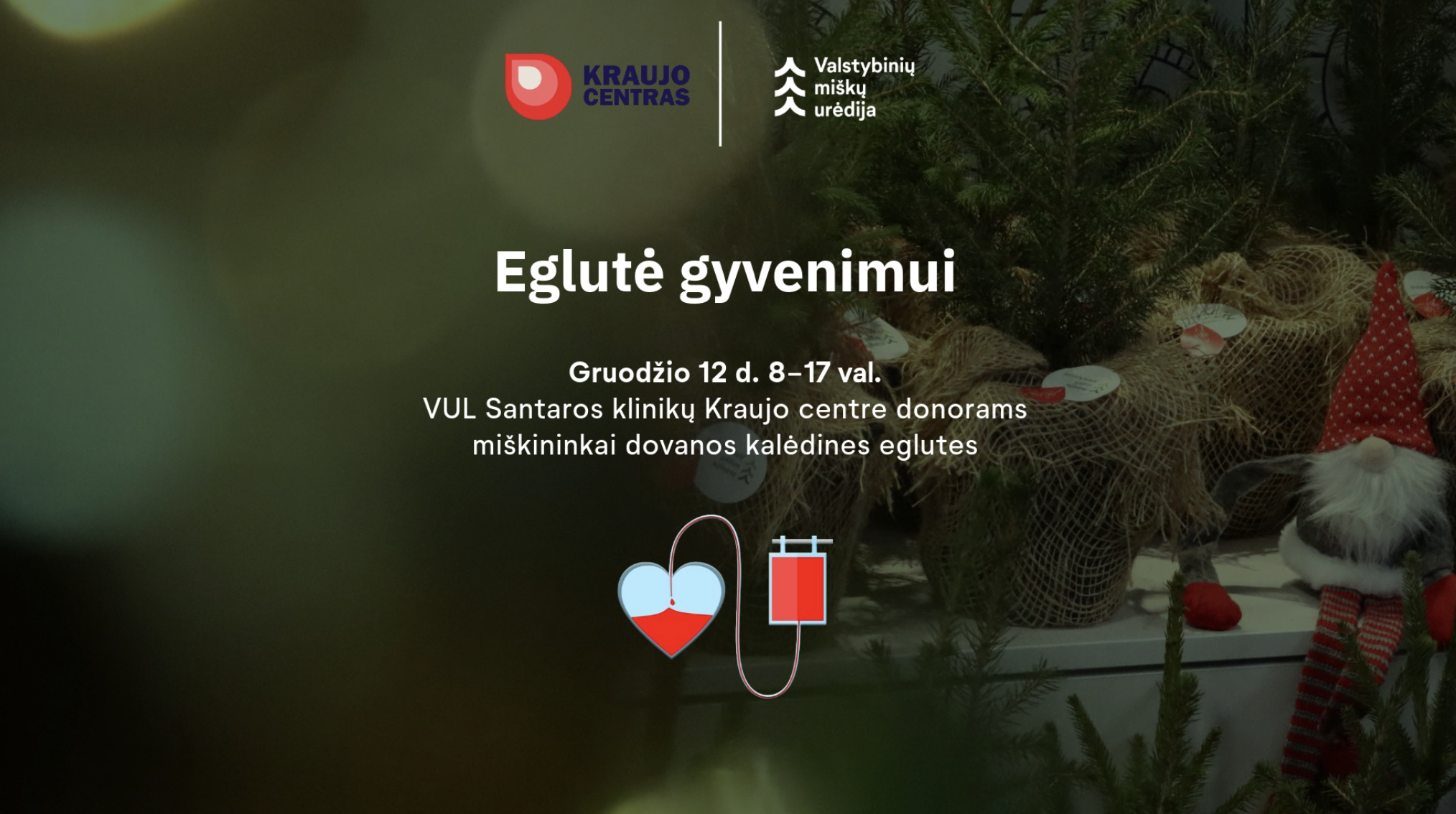 Компенсация за няню родителям-студентам, ёлочка за сданную кровь в акции Eglutė gyvenimui, рождественский стол глазами литовцев и другие новости egle