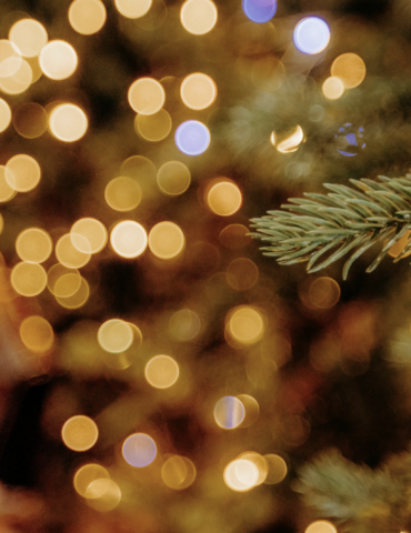 Афиша. Мюзикл Kalėdos ant ragų, 360-градусный концерт Микутавичюса, 10 теноров, «Аладдин на льду», шоу Around The World, Noize MC, Долин и другие