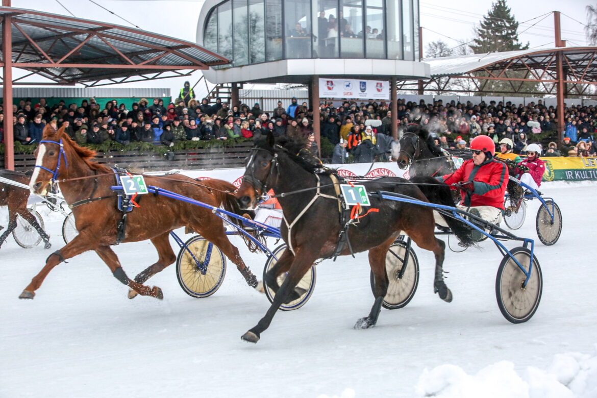 Афиша. Туристическая выставка Adventur, гонки на упряжках Sartai 2026, Stintapūkis в Ниде, 5 зимних уикендов SU-MENĖK, Oratorija AŠIS в Кедайняй, спектакли и концерты