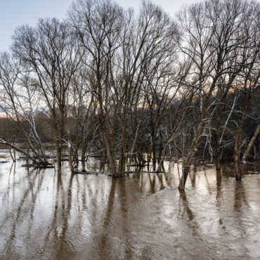 Глава МВД о подготовке к возможным паводкам, сбор подписей за референдум о праве расплачиваться наличными, работа над «молочным законом» и другие новости