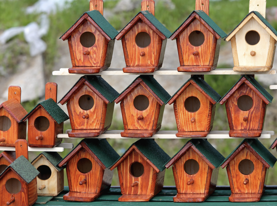 Renginiai Vilniuje: akcija „Paukščiai grįžta namo“, „Žirgų Grand Show ir Paroda“, „Žalgirio“ ir „Ryto“ rungtynės