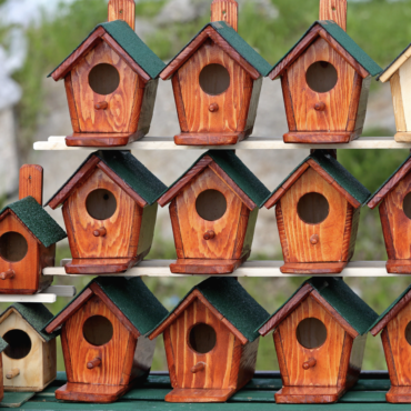 Renginiai Vilniuje: akcija „Paukščiai grįžta namo“, „Žirgų Grand Show ir Paroda“, „Žalgirio“ ir „Ryto“ rungtynės