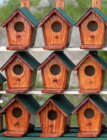 Renginiai Vilniuje: akcija „Paukščiai grįžta namo“, „Žirgų Grand Show ir Paroda“, „Žalgirio“ ir „Ryto“ rungtynės