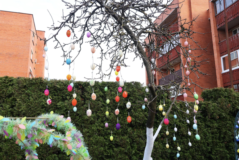 Šiaulių miesto savivaldybės informacija, V. Lebedžio nuotraukos  