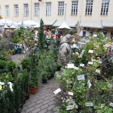 Афиша. Ярмарка саженцев, выставки красоты «Pelenė» и «Sveikata ir grožis», фестиваль моды «Avangardas 2026», ярмарки искусства, концерты и спектакли