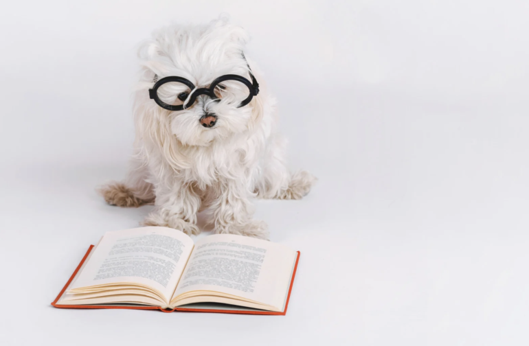 Ольга Велавичюте и три книги к 1 апреля: обаятельные дураки, комнатная мафия и сказочные миры