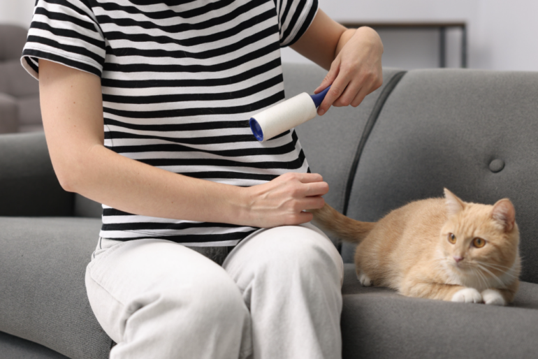 Как очистить мебель от шерсти животных?