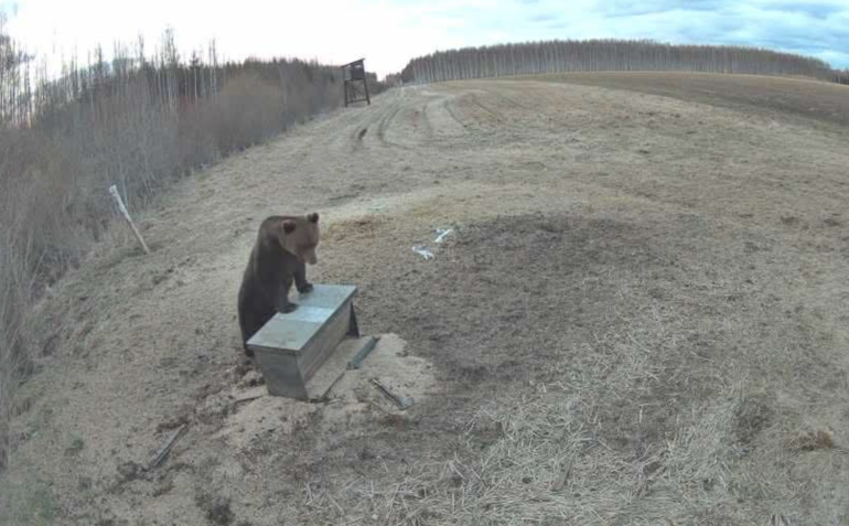 Lietuvos medžiotojų ir žvejų draugija