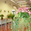 В Ботаническом саду Вильнюса проходит выставка лилий